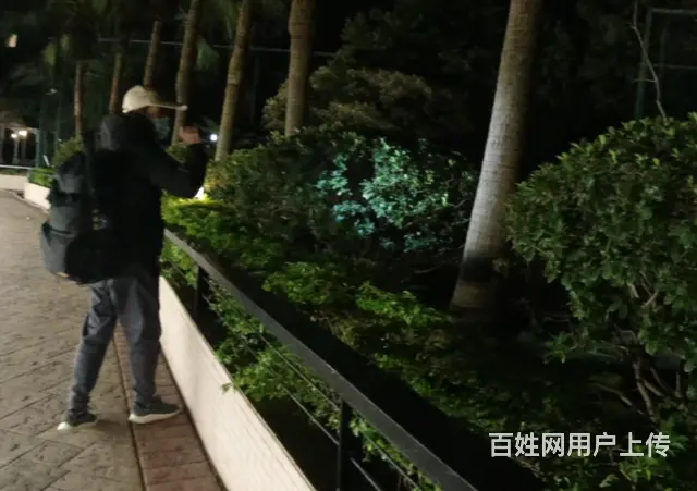 苏州猫咪丢了怎么找 专业找猫寻狗团队来帮你 - 图片 3