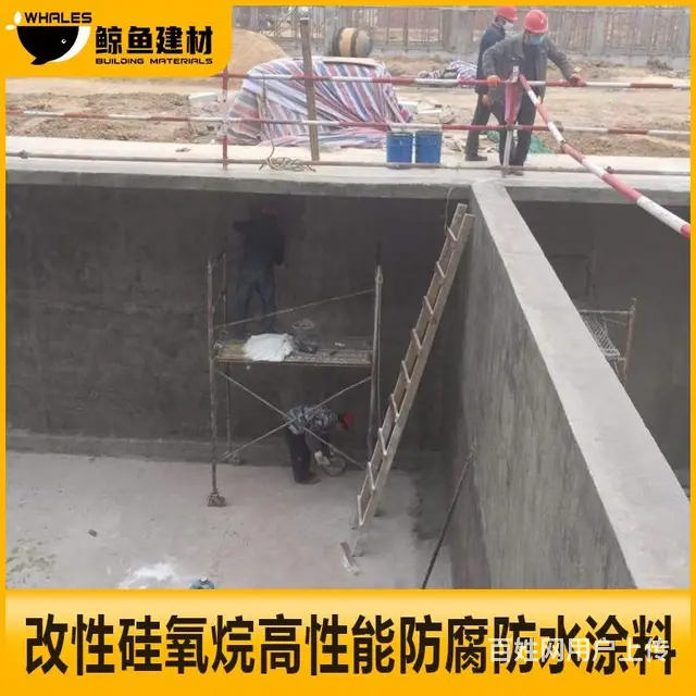 宜宾改性硅氧烷防腐防水涂料 - 图片 5