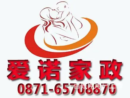 爱诺家政：保姆、月嫂、育婴师、钟点工、育儿嫂 - 图片 1