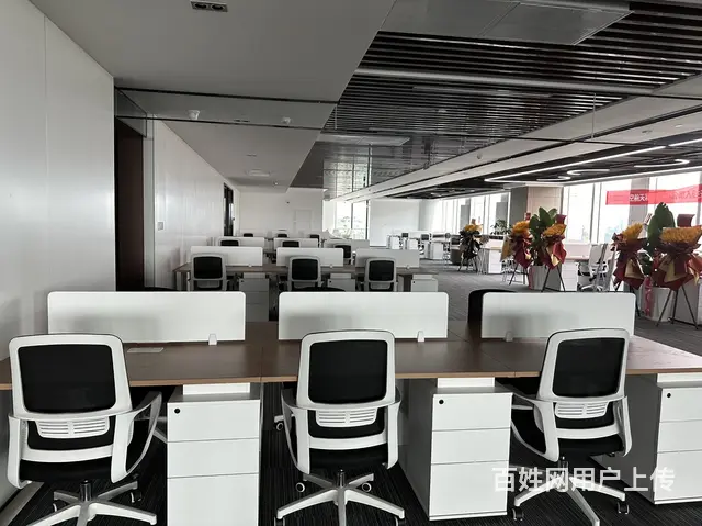 四川区域协同发展(遂宁)总部基地 - 图片 5