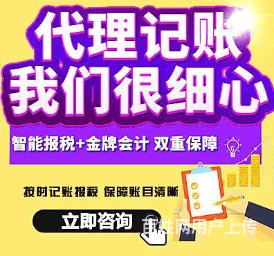 湛江专业税务咨询 - 图片 3