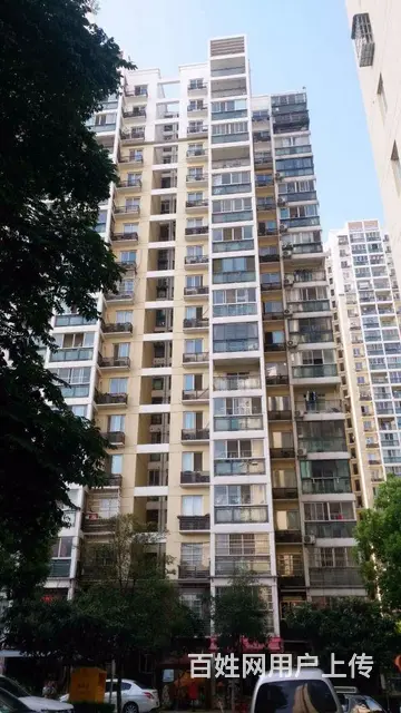 华腾园 岳家嘴地铁口附近 蓝晶绿洲附近 - 图片 10