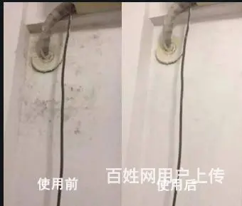 广州上门除霉公司，越秀区正规除发霉，办公室除霉服务 - 图片 5
