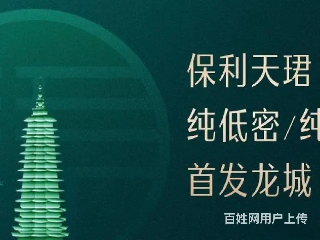 D铁口天宁红梅主芯保利天珺洋墅双公园火车站精装均26000起 - 图片 3