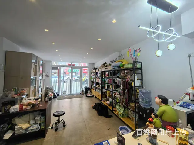 宠物用品店出兑  能寄养 - 图片 4