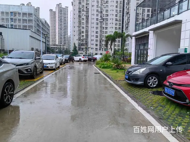 （51旺铺推荐）坡博路119平旺铺出租 - 图片 5