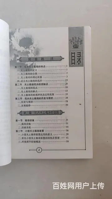 花卉无土栽培 - 图片 4