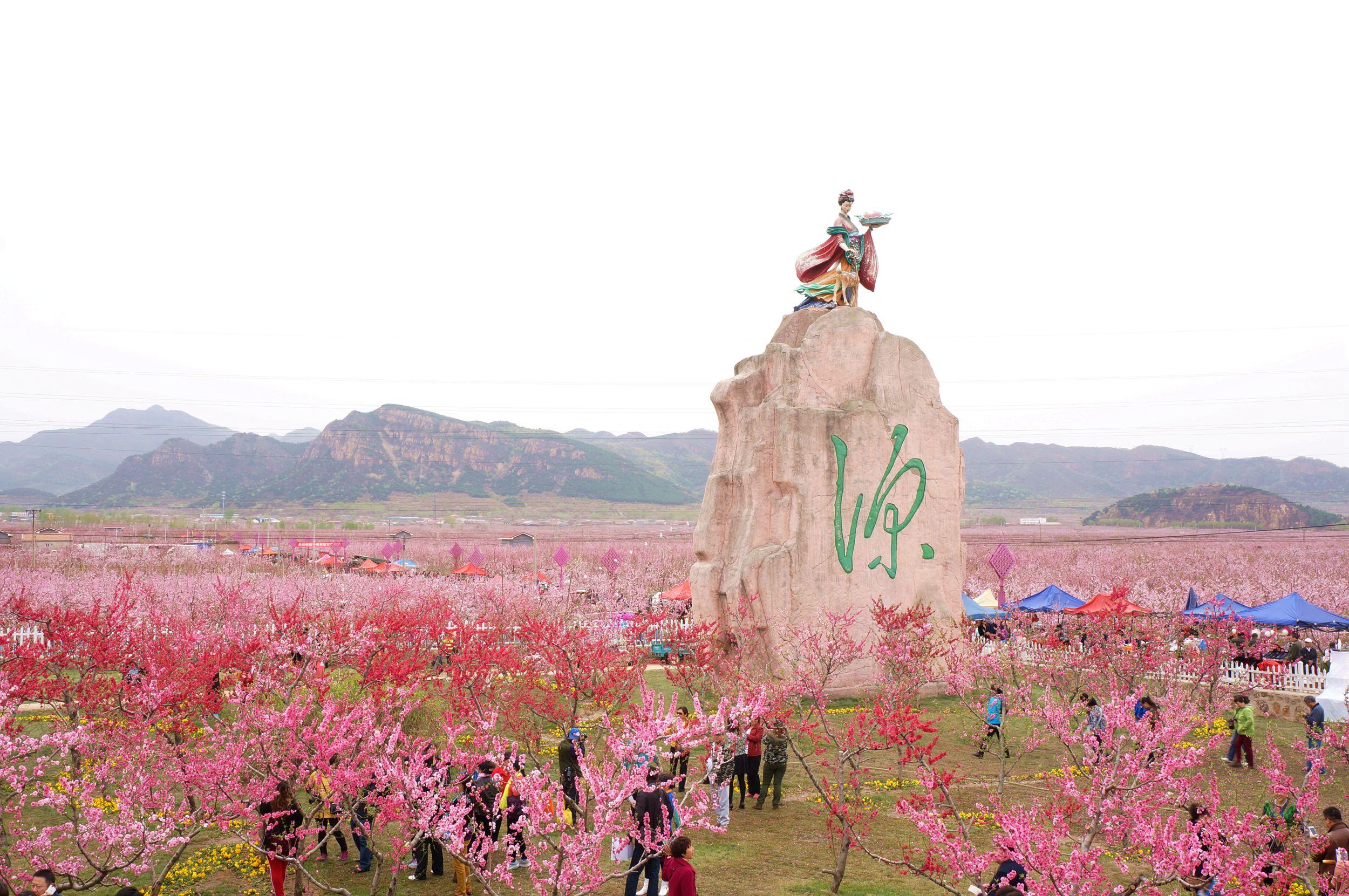 2023年平谷桃花节什么时候开始?桃花节旅游线路推荐-团体游(诚志天鸿)