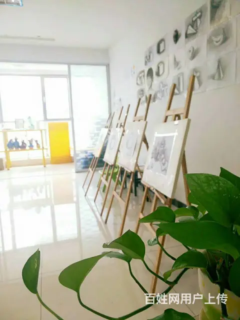临沂暑假素描零基础学习班|美术专业培训中心 - 图片 4