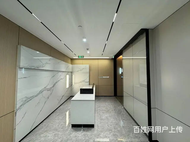 博览中心地铁口 甲级CBD看江 莲花 家具配套高端商办办公楼 - 图片 3