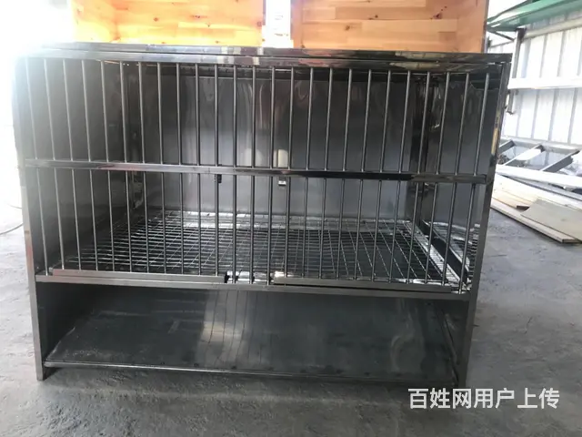 【搞定了！】信鸽配对隆 - 图片 2