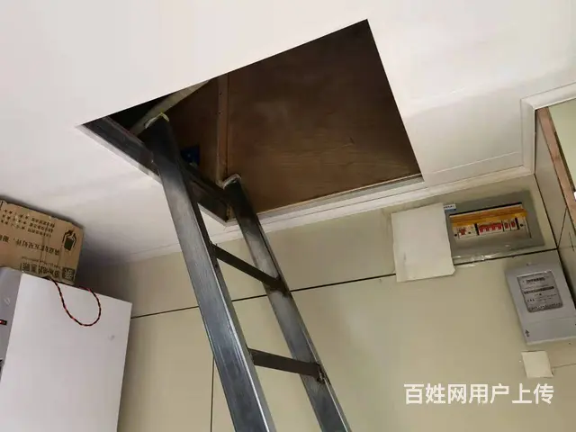 7484(七P）个人城北区朝阳二巷水果蔬菜店转让 - 图片 6