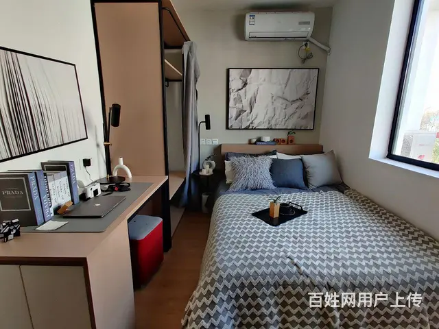 实图实价，可养宠物，独门独户公寓 - 图片 2