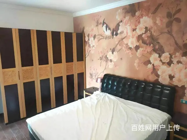 桂花路一中四小对面人民公园旁和盛阳光精装修3室2厅2卫急卖 - 图片 5