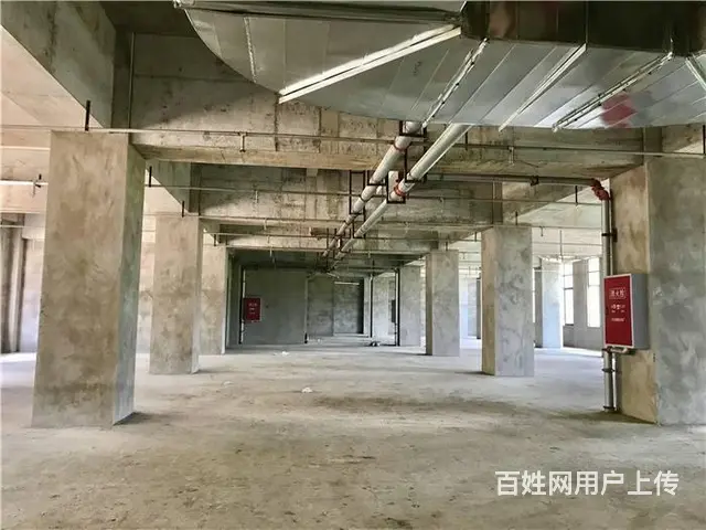 （搜铺）南外绥定大道二段3700平商铺招租或合作 - 图片 4