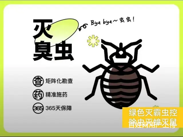 专业四害消杀除蟑螂除蚂蚁除老鼠除百虫 根除干净 - 图片 2
