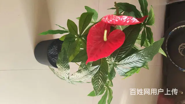 出售蓝牙音箱 耳机 内存卡 无绳电话... - 图片 9
