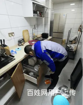 商丘市除四害丶专业提供除老鼠公司 - 图片 1