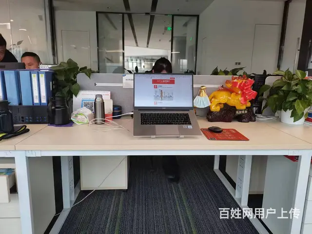 网站建设、小程序开发、app开发、软件开发、平面设 - 图片 5