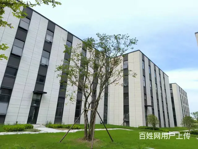 现房厂房出售，1200平起，赠送露台，总价低 - 图片 4