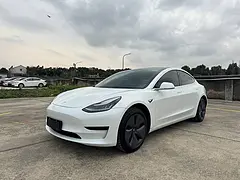 特斯拉Model 3 2020款 标准续航后驱升级版
