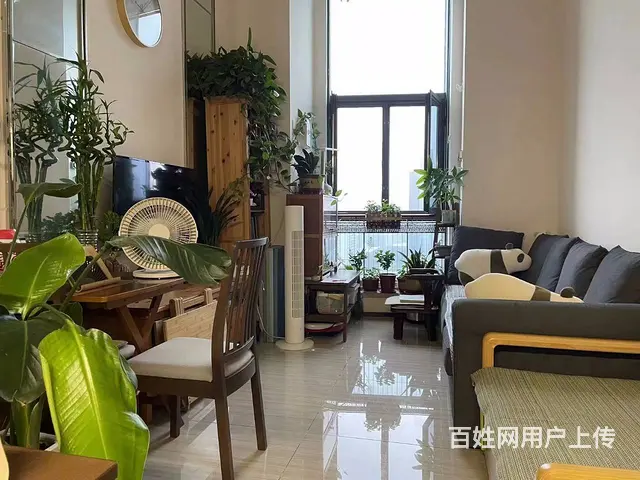 恒大翡翠华庭 公寓 精装修 loft34.5万 精装修 - 图片 1