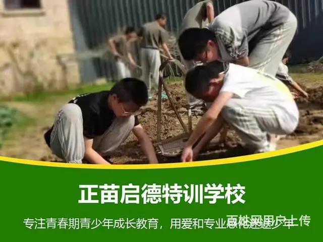 江西宜春叛逆不听话孩子改造学校 - 图片 7