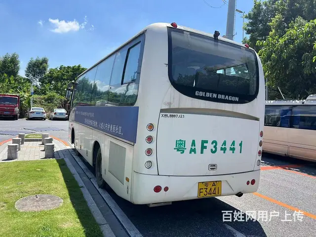 金旅53座 - 图片 7