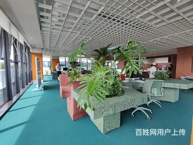 下沙MAX科技园独栋办公楼2100方2700方一楼高7.2米 - 图片 12