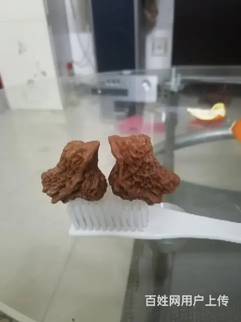 异形核桃 - 图片