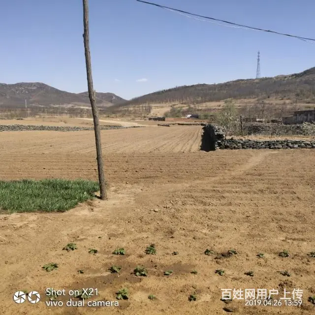 急售3间北京平房 - 图片 5