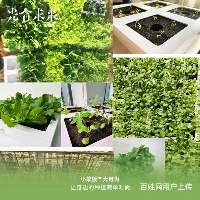 阳台种菜神器小菜板 - 图片 3