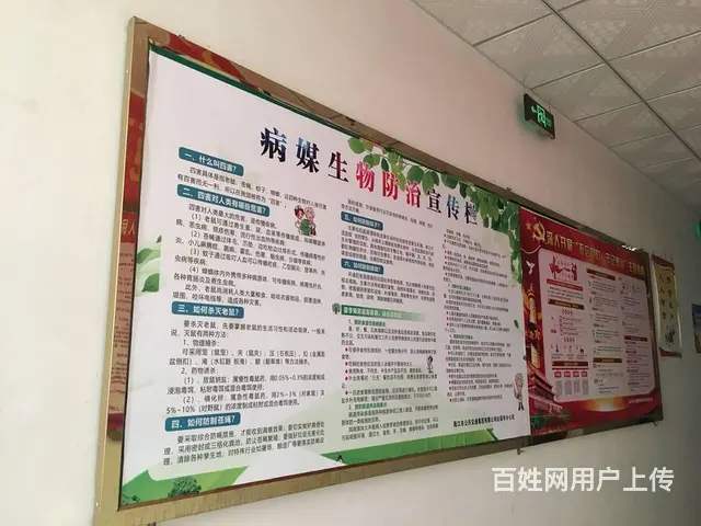 海口做广告户外宣传栏排版制作一站式服务漫晨图文 - 图片 1