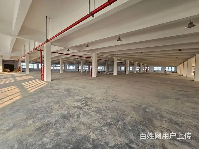支塘独栋全新1至3楼每层6000平，高12米，可架20吨行车 - 图片 4