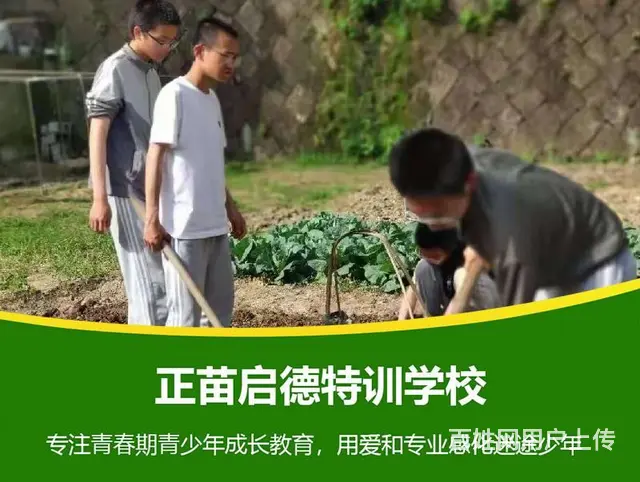 江西宜春叛逆不听话孩子改造学校 - 图片 4