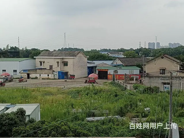 4亩场地出租 - 图片 3