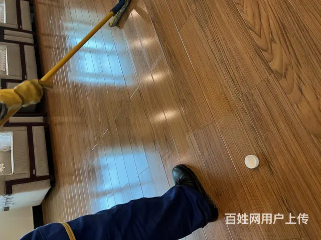 沙发座椅软包窗帘床头地毯清洗除螨 - 图片 3