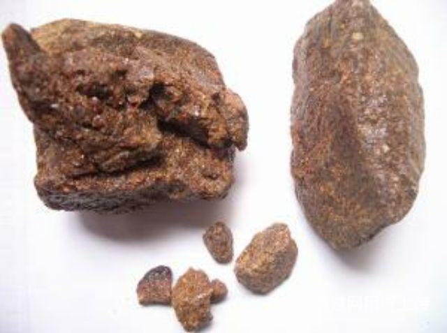 本人处大量收购竹蜂,以及销售竹蜂,推广诱捕竹蜂技术