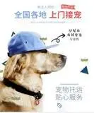 常州到北京宠物托运 全国狗猫鸽子空运 代办证件 - 图片 2