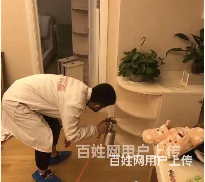 宿州保洁公司，除虫除蚂蚁，保洁阿姨，十大保洁公司哪家好 - 图片 4