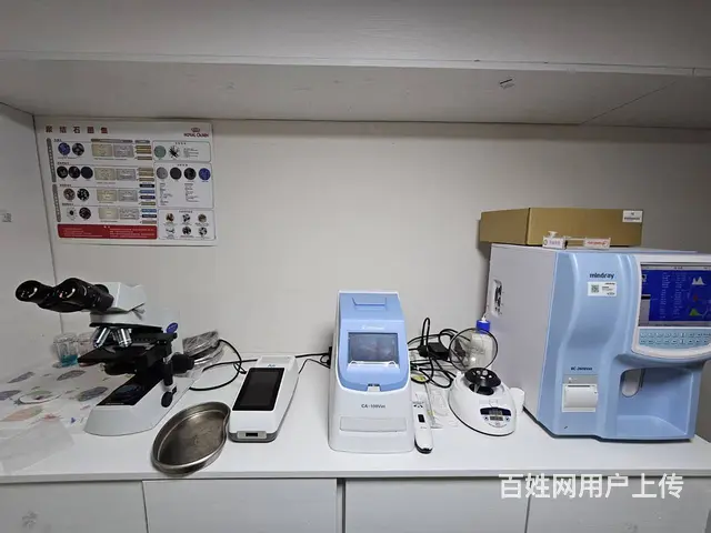 北湾新城小区宠物店出兑转让 宠物店洗洗澡出兑转让证件齐全 - 图片 6