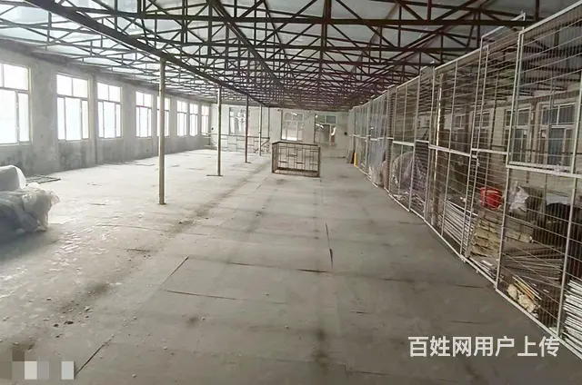 香坊区进乡街黎明大市场后身厂房出租 - 图片 2
