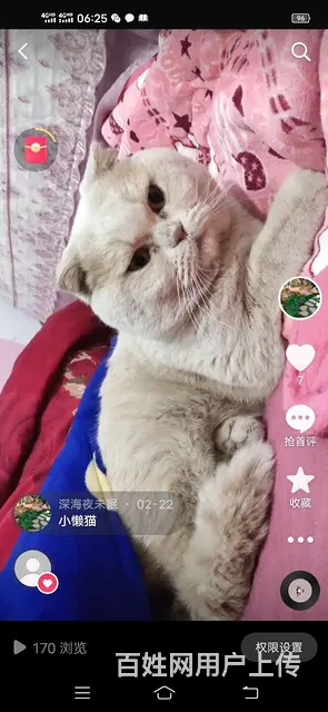 痘痘 - 图片