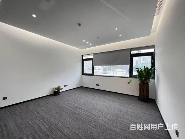 100平 至6000平 可分割 正大国际CPL - 图片 1