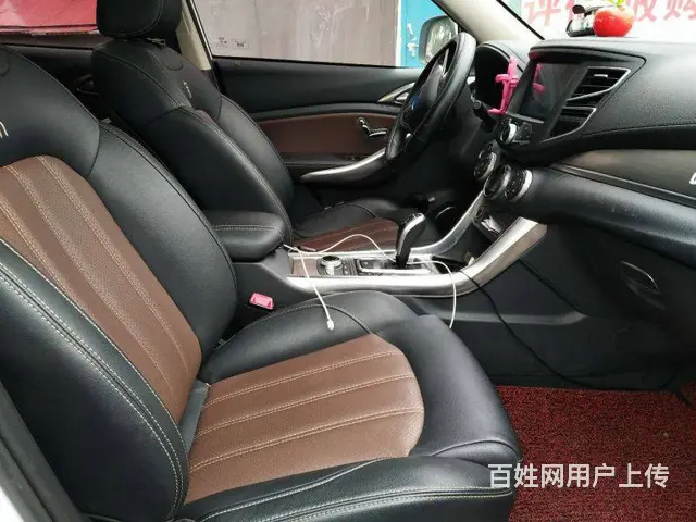 比亚迪 宋 2017款 宋EV300 尊贵型 - 图片 9