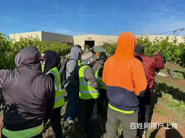 清远 海外劳务 挪威 有无技术均有招 月薪高 - 图片 1