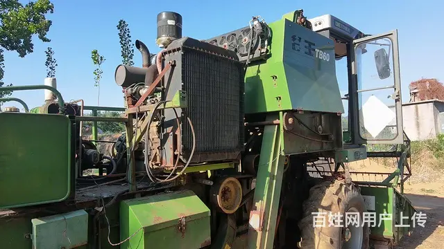 谷王60 - 图片 3