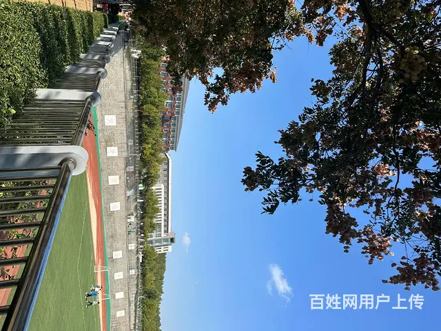 初中毕业考不上高中 公办学校 免学费 - 图片 7
