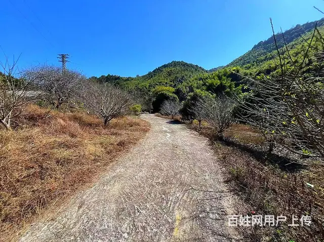从化区良口镇旅游区溪水边3亩亩山地果园整体转让 - 图片 1