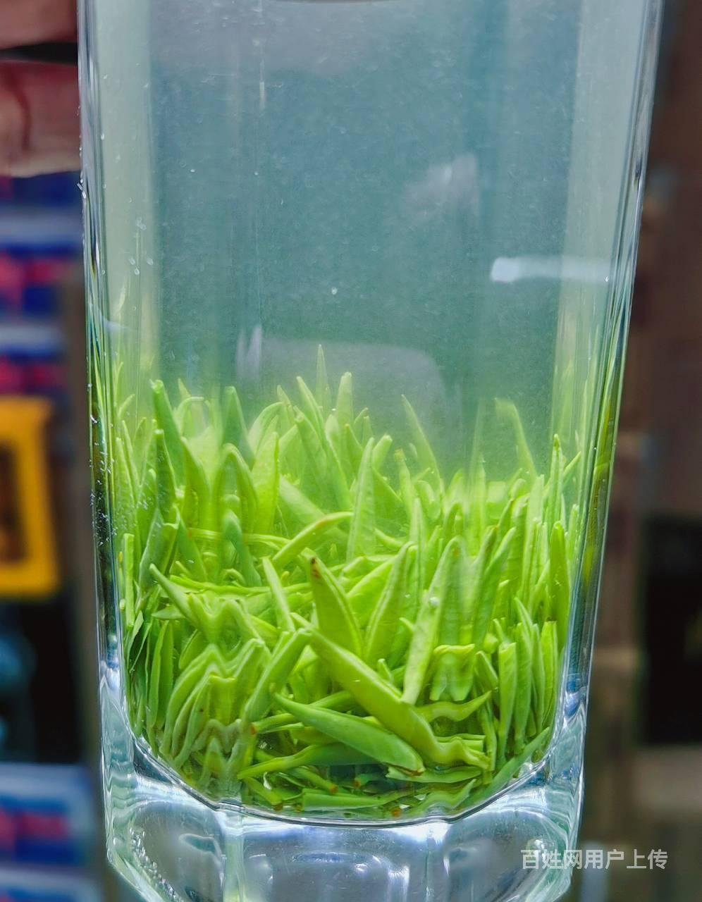 竹溪贡茶绿茶批发